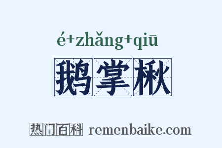 鹅掌楸是什么意思的图片